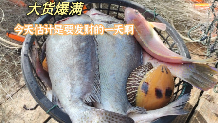 南澳岛赶海日记 渔民把在海里30个小时的渔网拉上来，海货爆满，这是要发财的一天