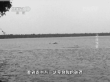 地理中国 《地理中国》 20140422 “世界地球日”特别节目-沼泽迷雾