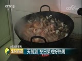 生财有道 《生财有道》 20180201 天鹅到 冬日荣成好热闹