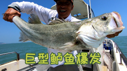 阿杰出海半天狂拉80斤鲈鱼，十斤以上的巨物就有4条，人生达到巅峰
