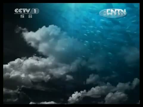 人与自然 《人与自然》 20130401 自然故事：杰泽贝尔与玛莉亚