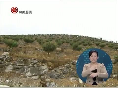 星期天报道 《星期天报道》 20150315