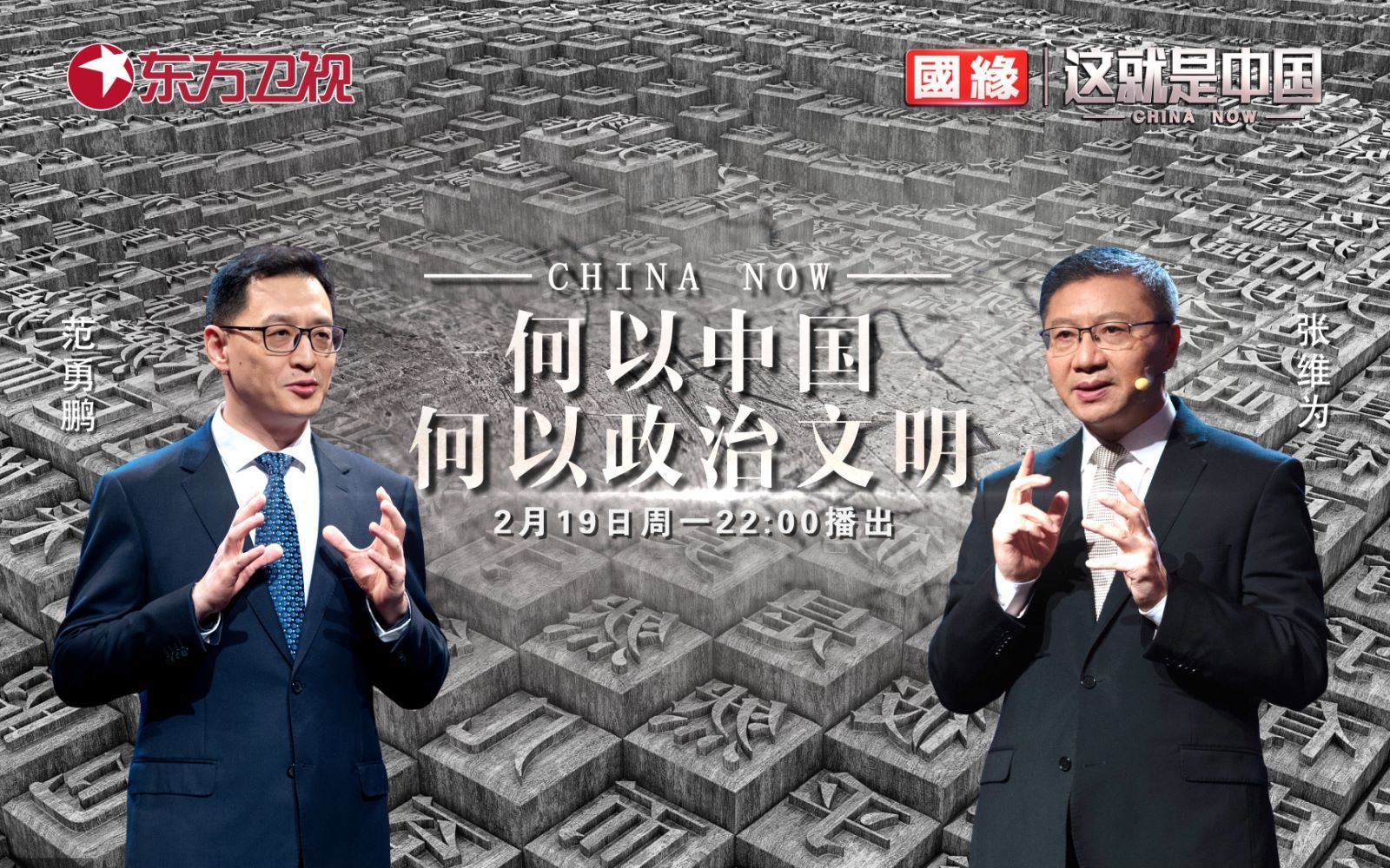 这就是中国 何以中国·何以政治文明