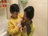 小小智慧树 《小小智慧树》 20171127