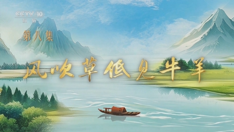 百家讲坛 《百家讲坛》 20250822 特别节目《我见青山》（8） 风吹草低见牛羊