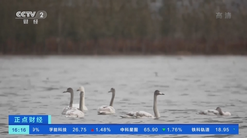 正点财经 《正点财经》 20221130 16:00