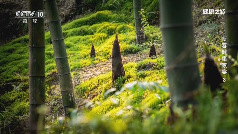 《健康之路》 20260218 新春健康家宴 3