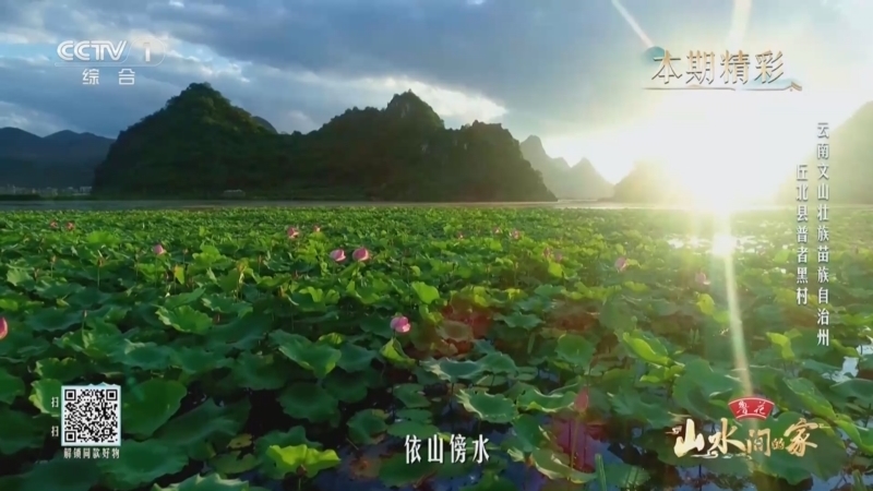 山水间的家第四季 《山水间的家》第四季 20250914