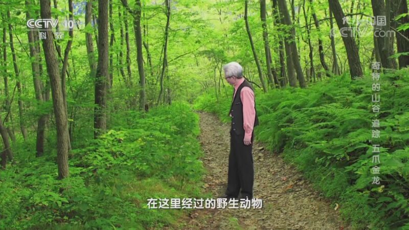 地理中国 《地理·中国》 20201030 奇特的山谷·追踪“五爪金龙”