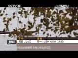 见证 《见证》 20150621 护航湄公河 第一集 集结橄榄坝