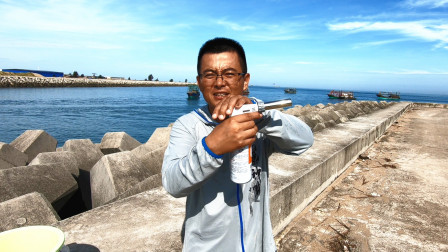 思乡渔夫 防波堤上小海鲜泛滥，渔夫开启海鲜自助餐模式，敞开肚皮吃