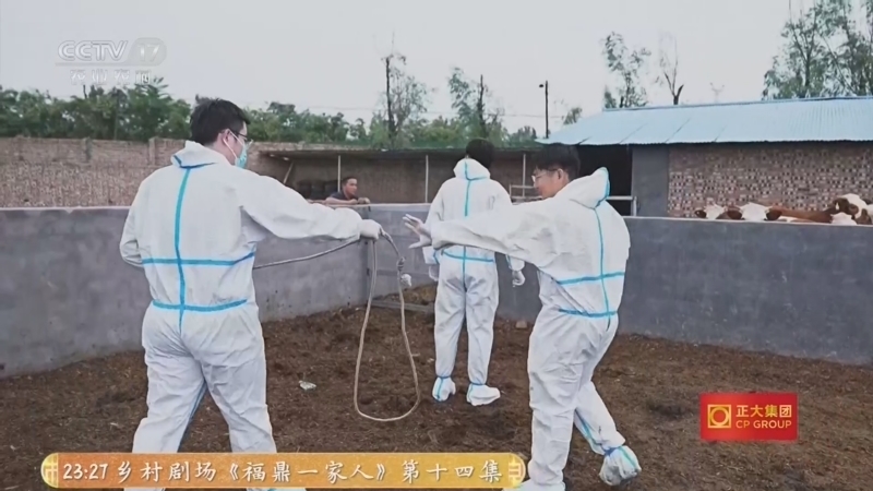 三农群英汇 《三农群英汇》 20260729 让青春闪光在田野——扎根乡土的零零后