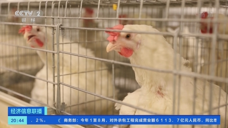 经济信息联播 《经济信息联播》 20220922