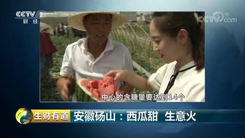 生财有道 《生财有道》 20190625 夏日经济系列——安徽砀山：西瓜甜 生意火