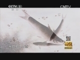 寻宝 《寻宝》 20141203 走进泰州
