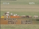 生财有道 [生财有道]牧马人的图腾和财富（20120925）