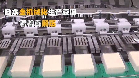 机械控 日本人是怎么生产豆腐的？全自动机械化，这样的机器靠谱吗
