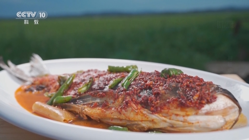 《味道》 20260115 寻味中国（116）