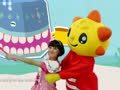 米卡成长天地（英语篇） This Is the Way