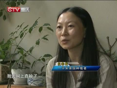 新闻解码 《新闻解码》 20140928 “一平米菜园”实验