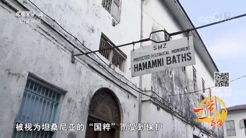 远方的家 《远方的家》 特别节目——亲历“一带一路” 坦桑尼亚之美 20180904