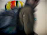 远方的家 远方的家 2011年 第6期