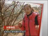 远方的家 远方的家 2011年 第36期