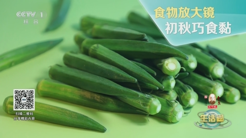 生活圈 《生活圈》 20240904