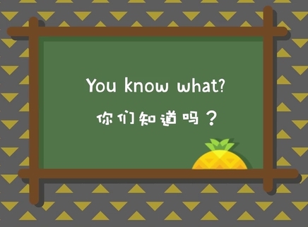 菠萝口语30秒 你知道吗：You know what