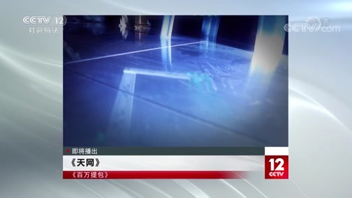 天网 《天网》 20200303 百万提包