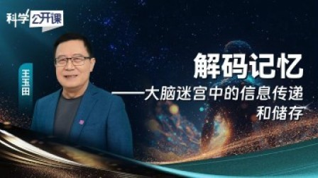 科学公开课 第五季 解码记忆——大脑迷宫中的信息传递和储存
