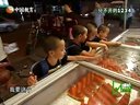成长不烦恼 分不开的1234 130129