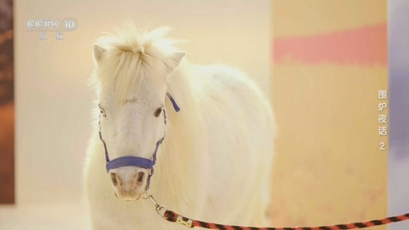 《围炉夜话》 20260218