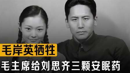 战史分析 毛岸英在朝鲜牺牲，刘思齐伤心欲绝，毛主席劝儿媳改嫁