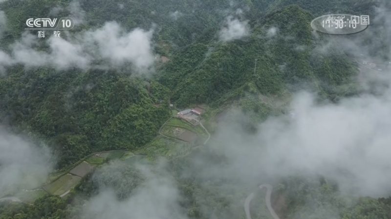 《地理·中国》 20260328 探秘幽暗谷地6