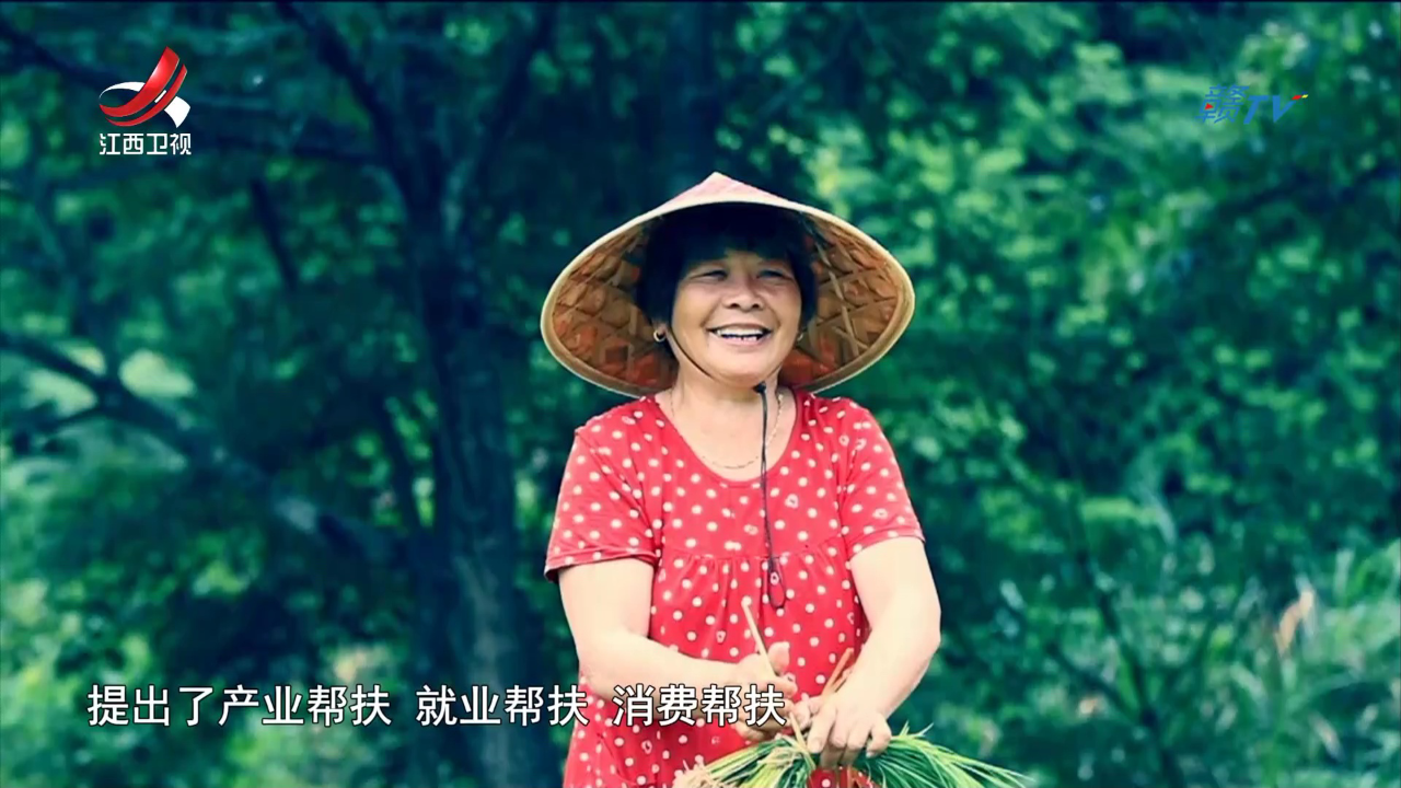 社会传真 守好“三农”基本盘 乡村振兴谱新篇