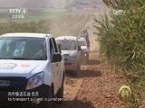 深度国际 《深度国际》 20161231 阿勒颇：大国之牌