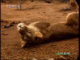 人与自然 人与自然 2010年 第177期