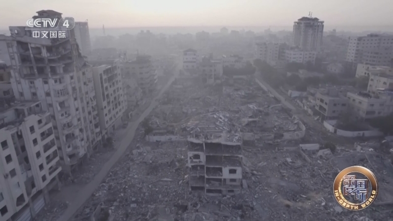 《深度国际》 20251011 加沙 和平曙光初现