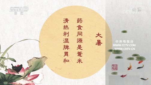 百家讲坛 《百家讲坛》 20200510 中医话节气 12 大暑