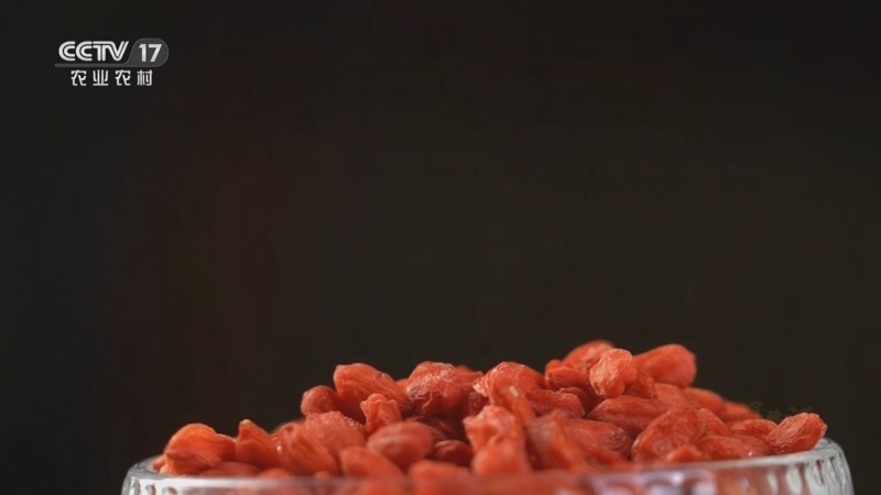 《三农群英汇》 20251129 “头雁”带富路——把“未来”种回故乡