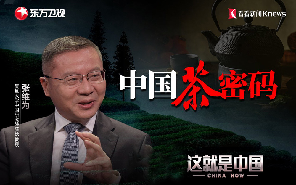 这就是中国 中国茶密码