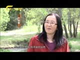 走南闯北广西人 《走南闯北广西人》 20151212 行走南半球 何晓蕾