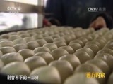 远方的家 《远方的家》 20160809 特别节目 一日一味：甜蜜的幸福
