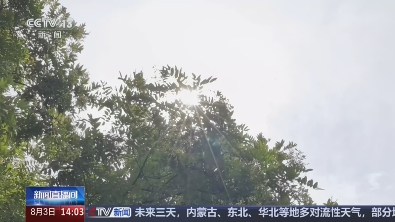新闻直播间 《新闻直播间》 20260803 14:00