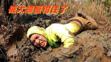 思乡渔夫赶海 被大螃蟹钳住手指有多痛？看看小伙的表情就知道了，痛到抽筋！