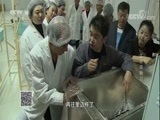 我爱发明 《我爱发明》 20180105 土豆成粉记