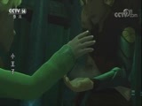 动漫世界 《动漫世界》 20180427