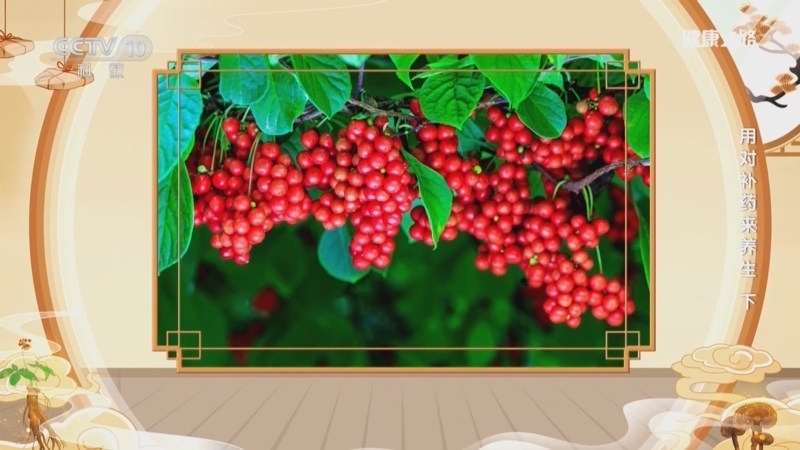 《健康之路》 20251130 用对补药来养生（下）