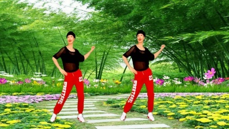 中老年人广场舞，简单易学新手跟着音乐就会跳